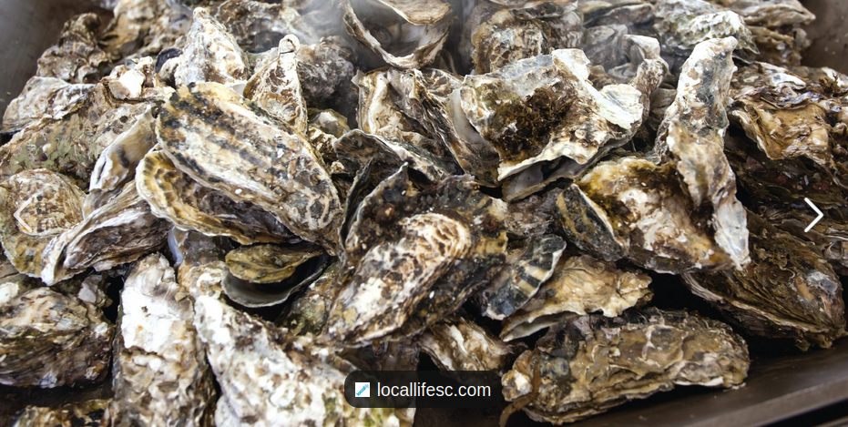 Lowcountry Oysters